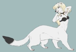 Rating: Safe Score: 0 Tags: bra clothing collar e621 ear_piercing female iulia.fox mammal mustelid musteline piercing sally_hermine solo stoat stoat_taur taur true_musteline underwear weasel User: bunchy7s