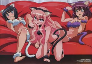 Rating: Explicit Score: 0 Tags: 3girls black_hair blush bra breasts cat_tail fake_animal_ears female fujii_masahiro henrietta_de_tristain kneeling large_breasts louise_francoise_le_blanc_de_la_valliere megami_magazine multiple_girls official_art panties pink_hair purple_hair rule34 siesta_(zero_no_tsukaima) zero_no_tsukaima User: bunchy7s