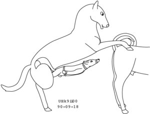 Rating: Explicit Score: 0 Tags: 1990 animal_genitalia bdsm black_and_white black_text bondage bound canid canine casual_cocksleeve casual_sex dated dominant dominant_male e621 equid equine erection feral feral_on_feral fox fully_sheathed genitals group group_sex hooves horse interspecies larger_dom larger_male living_condom low_res male male/male mammal markings monochrome open_mouth open_smile penis quadruped sex sheath simple_background size_difference smaller_male smile submissive submissive_male tail tail_markings text threesome toony trio urbanhermit white_background User: bunchy7s