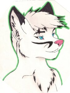 Rating: Safe Score: 0 Tags: anthro barbell_piercing blue_eyes bust_portrait canid canine chevron_(chevronfox) chevron_(marking) chevronfox e621 eyebrow_barbell eyebrow_piercing facial_piercing fox front_view fur male mammal marker_(artwork) markings mixed_media pen_(artwork) piercing portrait simple_background solo three-quarter_view traditional_media_(artwork) white_background white_body white_fur User: bunchy7s