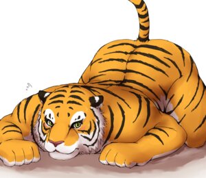 Rating: Safe Score: 0 Tags: 2012 anthro ass_up biceps big_muscles black_ears black_face blush countershading e621 felid fur giraffe_(artist) lam-chan looking_at_viewer male mammal multicolored_body multicolored_ears multicolored_face multicolored_fur multicolored_hands muscular muscular_anthro muscular_male orange_body orange_face orange_fur orange_hands pantherine pink_nose solo stripes tail tiger two_tone_ears two_tone_hands white_body white_ears white_face white_fur white_hands yellow_eyes User: bunchy7s