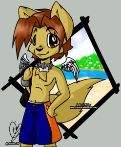 Rating: Safe Score: 0 Tags: anthro black_nose brown_eyes brown_hair canid canine canis chest_tuft clothed clothing collar domestic_dog e621 fur hair lilchu male mammal solo swimming_trunks swimwear tail topless tuft User: bunchy7s
