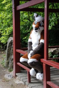 Rating: Safe Score: 0 Tags: 2010 anthro aoi-kitsune biped blue_eyes canid canine clothing costume e621 fox fursuit grandfathered_content looking_at_viewer male mammal mixed_media nature outside photo_background photography_(artwork) real sitting solo tifou User: bunchy7s