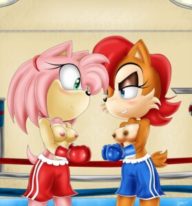 Rating: Questionable Score: 0 Tags: 2013 amy_rose anthro archie_comics bigdon1992 blue_eyes blush boxing breasts brown_body brown_fur brown_nipples chipmunk clothed clothing duo e621 eulipotyphlan female fight flower fur gloves ground_squirrel hair handwear hedgehog hi_res mammal nipples pink_body pink_fur pink_nose plant ravensfan00 red_hair rodent rose_(flower) sally_acorn sciurid scut_tail sega short_tail sonic_the_hedgehog_(archie) sonic_the_hedgehog_(comics) sonic_the_hedgehog_(series) sport standing tail topless User: bunchy7s
