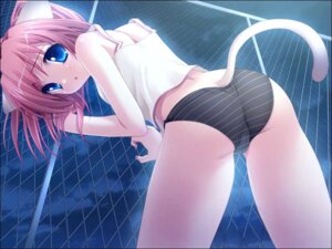 Rating: Explicit Score: 0 Tags: 13cm against_fence animal_ears ass bent_over black_panties blue_eyes camisole cat_ears cat_girl catgirl chainlink_fence faye_mcclintock female fence game_cg inuzumi_masaki looking_back natsume_eri neko_kawaigari! nekokawaigari night open_mouth outdoors panties pink_hair rule34 short_hair solo striped striped_panties tail underwear User: bunchy7s Rating: Explicit Score: 0 Tags: 13cm against_fence animal_ears ass bent_over black_panties blue_eyes camisole cat_ears cat_girl catgirl chainlink_fence faye_mcclintock female fence game_cg inuzumi_masaki looking_back natsume_eri neko_kawaigari! nekokawaigari night open_mouth outdoors panties pink_hair rule34 short_hair solo striped striped_panties tail underwear User: bunchy7s