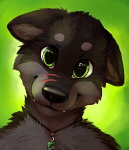 Rating: Safe Score: 0 Tags: 2014 ambiguous_gender anthro bust_portrait canid canine canis close-up darkwingo digital_media_(artwork) digital_painting_(artwork) dingo e621 eye_reflection fluffy glistening glistening_eyes green_background green_eyes head_tilt hi_res hybrid jewelry mammal markings necklace painting_(artwork) portrait reflection scar simple_background smile solo thanshuhai wolf User: bunchy7s