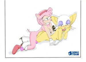 Rating: Explicit Score: 0 Tags: 2girls amy_rose anthro bat female female_only furry hedgehog oyashiro_thr43 rouge_the_bat rule34 sega sonic_(series) yuri User: bunchy7s