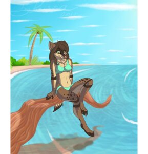 Rating: Safe Score: 0 Tags: anthro beach bikini biped canid canine canis clothed clothing cloud detailed_background e621 female green_eyes hi_res kyander looking_at_viewer mammal outside sand seaside sitting skimpy sky solo swimwear tail toony two-piece_swimsuit wolf User: bunchy7s