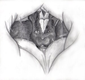 Rating: Questionable Score: 0 Tags: ambiguous_gender ambiguous_pred anthro bodily_fluids duo e621 hybrid internal lagomorph leporid male male/ambiguous male_prey mammal mephitid oral_vore rabbit saliva skunk skunkhase soft_vore solo_focus swallowing traditional_media_(artwork) vore wolfenfury User: bunchy7s Rating: Questionable Score: 0 Tags: ambiguous_gender ambiguous_pred anthro bodily_fluids duo e621 hybrid internal lagomorph leporid male male/ambiguous male_prey mammal mephitid oral_vore rabbit saliva skunk skunkhase soft_vore solo_focus swallowing traditional_media_(artwork) vore wolfenfury User: bunchy7s