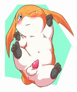 Rating: Explicit Score: 0 Tags: 3_toes animal_genitalia animal_penis anus balls bandai_namco big_ears blue_eyes blush bodily_fluids digimon digimon_(species) e621 embarrassed erection feet feral futsutsukamono genitals head_wings hindpaw looking_at_viewer lying male membrane_(anatomy) membranous_wings navel nude on_back patamon paws penis solo tapering_penis tears toes unusual_wing_placement wings User: bunchy7s Rating: Explicit Score: 0 Tags: 3_toes animal_genitalia animal_penis anus balls bandai_namco big_ears blue_eyes blush bodily_fluids digimon digimon_(species) e621 embarrassed erection feet feral futsutsukamono genitals head_wings hindpaw looking_at_viewer lying male membrane_(anatomy) membranous_wings navel nude on_back patamon paws penis solo tapering_penis tears toes unusual_wing_placement wings User: bunchy7s