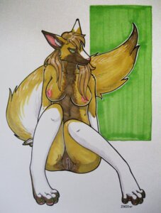 Rating: Explicit Score: 0 Tags: 2010 anthro breasts brown_hair canid canine e621 female genitals green_eyes hair hi_res iggi looking_at_viewer mammal nipples nude simple_background solo tail vulva white_background User: bunchy7s Rating: Explicit Score: 0 Tags: 2010 anthro breasts brown_hair canid canine e621 female genitals green_eyes hair hi_res iggi looking_at_viewer mammal nipples nude simple_background solo tail vulva white_background User: bunchy7s