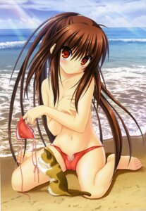 Rating: Explicit Score: 0 Tags: barefoot beach bikini blush breast_hold breasts brown_hair cameltoe feet feline female high_res key_(company) little_busters! long_hair mizugi na-ga natsume_rin navel ponytail pussy red_eyes rule34 tied_hair topless water User: bunchy7s Rating: Explicit Score: 0 Tags: barefoot beach bikini blush breast_hold breasts brown_hair cameltoe feet feline female high_res key_(company) little_busters! long_hair mizugi na-ga natsume_rin navel ponytail pussy red_eyes rule34 tied_hair topless water User: bunchy7s