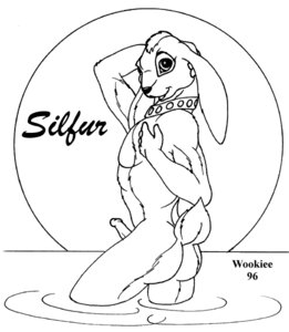 Rating: Explicit Score: 0 Tags: 1996 butt collar e621 erection fur genitals lagomorph legs_in_water leporid looking_at_viewer male mammal monochrome muscular muscular_male nude partially_submerged penis rabbit raised_tail silfur simple_background solo submerged_legs tail water wet white_background wooky User: bunchy7s