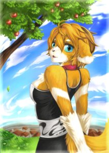 Rating: Safe Score: 0 Tags: anthro apple biped black_nose blue_eyes canid canine canis clothed clothing cloud domestic_dog e621 female food fruit grass looking_back mammal open_mouth outside pinup plant pose sky solo standing tail tree wood ドク User: bunchy7s