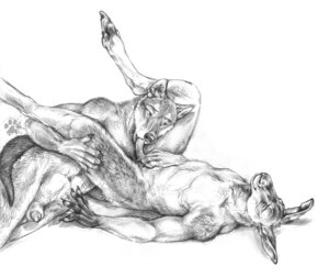 Rating: Explicit Score: 0 Tags: 2010 5_fingers anatomically_correct anatomically_correct_genitalia animal_genitalia animal_penis anthro anthro_on_anthro balls biped blotch bodily_fluids canid canine canine_genitalia canine_penis canis claws cum dingo duo e621 erection feet fellatio fingers fur genital_fluids genitals interspecies kangaroo macropod male male/male male_penetrated male_penetrating male_penetrating_male mammal marsupial monochrome nude oral oral_penetration paws penetration penile penis penis_tip scratches_volume_4 sex sheath simple_background spread_legs spreading tail thin_penis traditional_media_(artwork) white_background wolf User: bunchy7s