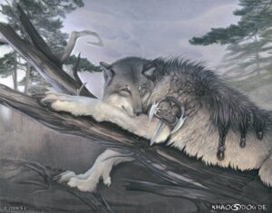Rating: Safe Score: 0 Tags: 2009 ambiguous_gender braided_hair canid canine canis detailed_background digitigrade e621 facial_piercing feral forest fur grey_body grey_eyes grey_fur hair khaosdog knife looking_away lying mammal nature nose_piercing nose_ring on_front outside painting_(artwork) piercing pigtails plant portrait ring_piercing scenery septum_piercing sky solo three-quarter_portrait traditional_media_(artwork) tree weapon white_body white_fur wolf wood User: bunchy7s