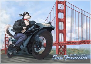 Rating: Safe Score: 0 Tags: 5_fingers anthro asterionblazing belt biker biped black_nose border bottomwear bridge canid canine chain chain_accessory clothed clothing collar day denim denim_bottomwear denim_clothing digital_media_(artwork) driving e621 english_text fingerless_gloves fingers footwear gloves golden_gate_bridge handwear holding_fixture jacket jeans kerchief kokoes landmark male mammal motion_blur motorcycle outside pants partially_clothed real_world san_francisco shoes sky smile solo sports_bike suspension_bridge text topwear vehicle User: bunchy7s Rating: Safe Score: 0 Tags: 5_fingers anthro asterionblazing belt biker biped black_nose border bottomwear bridge canid canine chain chain_accessory clothed clothing collar day denim denim_bottomwear denim_clothing digital_media_(artwork) driving e621 english_text fingerless_gloves fingers footwear gloves golden_gate_bridge handwear holding_fixture jacket jeans kerchief kokoes landmark male mammal motion_blur motorcycle outside pants partially_clothed real_world san_francisco shoes sky smile solo sports_bike suspension_bridge text topwear vehicle User: bunchy7s