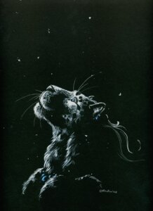 Rating: Safe Score: 0 Tags: 2008 ambiguous_gender anthro black_background dark e621 felid heather_bruton leopard mammal monochrome night outside pantherine simple_background sky snow snowing solo star starry_sky User: bunchy7s