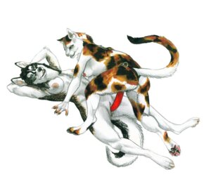 Rating: Explicit Score: 0 Tags: all_fours anthro becky_short black_body black_fur black_nose blue_eyes breasts brown_body brown_fur butt calico_cat canid canine canis claws digitigrade dildo domestic_cat domestic_dog duo e621 erect_nipples eye_contact felid feline felis female female/female fur genitals hands_behind_head happy happy_sex inner_ear_fluff looking_at_another lying mammal mottled nipples nude on_back pawpads piebald pink_nose raised_arm rear_view sex sex_toy simple_background smile spread_legs spreading strapon tail toe_claws tuft vulva white_background white_body white_fur yellow_eyes User: bunchy7s