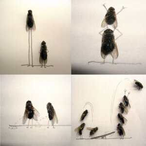Rating: Explicit Score: 0 Tags: 1:1 ambiguous_gender arthropod bodily_fluids comic death duo duo_focus e621 feral fly_(animal) front_view full-length_portrait genital_fluids grandfathered_content graphite_(artwork) group hi_res housefly humor insect jumping mixed_media monochrome multiple_poses paper peeing photography_(artwork) portrait pose real side_view simple_background size_difference standing stick_figure traditional_media_(artwork) trampoline unknown_artist urine watersports what white_background User: bunchy7s Rating: Explicit Score: 0 Tags: 1:1 ambiguous_gender arthropod bodily_fluids comic death duo duo_focus e621 feral fly_(animal) front_view full-length_portrait genital_fluids grandfathered_content graphite_(artwork) group hi_res housefly humor insect jumping mixed_media monochrome multiple_poses paper peeing photography_(artwork) portrait pose real side_view simple_background size_difference standing stick_figure traditional_media_(artwork) trampoline unknown_artist urine watersports what white_background User: bunchy7s