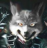 Rating: Safe Score: 0 Tags: anthro bust_portrait canid canine canis e621 fur grandfathered_content grey_body grey_fur looking_at_viewer low_res male mammal nintendo nintendo_power portrait solo star_fox thumbnail werwolf-witcher wolf wolf_o'donnell User: bunchy7s Rating: Safe Score: 0 Tags: anthro bust_portrait canid canine canis e621 fur grandfathered_content grey_body grey_fur looking_at_viewer low_res male mammal nintendo nintendo_power portrait solo star_fox thumbnail werwolf-witcher wolf wolf_o'donnell User: bunchy7s