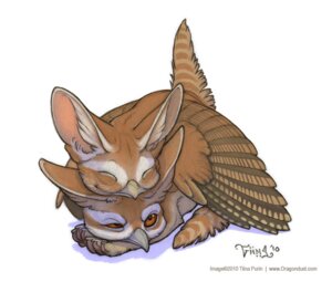 Rating: Safe Score: 0 Tags: 2010 ambiguous_gender avian bird brown_body brown_eyes brown_fur canid canine certhioid cuddling duo e621 eyes_closed fennec_fox feral fox fur hybrid mammal simple_background smile tan_body tan_fur text tiina_purin true_fox url white_background white_body white_fur wren User: bunchy7s