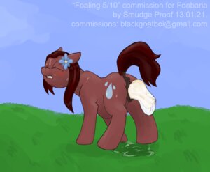 Rating: Explicit Score: 0 Tags: accessory amniotic_fluid amniotic_sac anatomically_correct anatomically_correct_genitalia anatomically_correct_vulva animal_genitalia animal_vulva belly big_belly birth blue_eyes bodily_fluids brown_body brown_fur brown_hair cutie_mark digital_media_(artwork) e621 earth_pony equid equine equine_genitalia equine_vulva fan_character female feral flower flower_in_hair foaling fur genital_fluids genitals grass hair hair_accessory hasbro horse live_birth mammal my_little_pony neonate outside plant pony pregnant pregnant_female quadruped raindancer raindrop smudge_proof solo sweat tail vaginal_birth vulva young young_feral User: bunchy7s