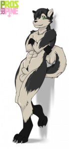Rating: Explicit Score: 0 Tags: animal_genitalia anthro balls canid canine canis digitigrade domestic_dog e621 fully_sheathed genitals gloves_(marking) hi_res husk_(character) husky leg_markings male mammal markings nordic_sled_dog nude proserpine sheath socks_(marking) solo spitz tail User: bunchy7s