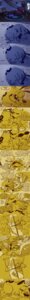 Rating: Safe Score: 0 Tags: absurd_res anatid angry anseriform anthro avian beagle beak beverage bird black_puddle_queen bodily_fluids c2ndy2c1d canid canine canis carpet cartoon_network clothing clutching_foot coffee comic courage_the_cowardly_dog courage_the_cowardly_dog_(character) cross-popping_vein crown crying domestic_cat domestic_dog duck e621 english_text eulipotyphlan eyes_closed eyewear felid feline felis food fox freaky_fred glasses grin hat headgear headwear hi_res human hunting_dog katz_(courage_the_cowardly_dog) le_quack long_image male mammal mole_(animal) monster nurse nurse_clothing nurse_hat nurse_headwear popcorn rocking_chair scent_hound sleeping smile tall_image tears text the_cajun_fox tiara vein weremole_(courage_the_cowardly_dog) User: bunchy7s