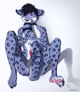 Rating: Explicit Score: 0 Tags: 1boy 2012 anthro blue caught collar erection feline fur furry looking_at_viewer male male_only nelson nervous nude on_back penis plain_background purple_eyes rule34 sann snow_leopard solo User: bunchy7s Rating: Explicit Score: 0 Tags: 1boy 2012 anthro blue caught collar erection feline fur furry looking_at_viewer male male_only nelson nervous nude on_back penis plain_background purple_eyes rule34 sann snow_leopard solo User: bunchy7s