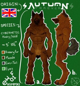 Rating: Explicit Score: 0 Tags: abs animal_genitalia animal_penis anthro athletic balls biceps biped brown_body brown_fur canid canine canine_genitalia canine_penis claws e-w01f e621 english_text fangs flaccid fluffy fluffy_tail fur genitals green_eyes grey_body grey_fur hi_res male mammal model_sheet muscular muscular_anthro nipples nude pecs penis pose sheath side_view solo standing tail teeth text toe_claws union_jack User: bunchy7s