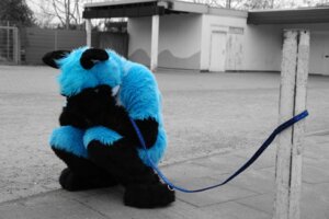 Rating: Safe Score: 0 Tags: 2010 anthro blue_body blue_fur bodily_fluids canid canine clothing collar costume crying e621 finnfox fox fur fursuit grandfathered_content leash male mammal noodle_soup photography_(artwork) real sad solo tears User: bunchy7s