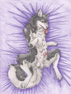 Rating: Explicit Score: 0 Tags: 2011 4_toes alma_aurora animal_genitalia balls bed canid canine canis domestic_dog e621 feet feral fluffy fur furniture genitals lying male mammal multicolored_body multicolored_fur nude on_back open_mouth penis penis_tip quadruped sheath solo spread_legs spreading tail teeth toes tongue two_tone_body two_tone_fur white_body white_fur User: bunchy7s Rating: Explicit Score: 0 Tags: 2011 4_toes alma_aurora animal_genitalia balls bed canid canine canis domestic_dog e621 feet feral fluffy fur furniture genitals lying male mammal multicolored_body multicolored_fur nude on_back open_mouth penis penis_tip quadruped sheath solo spread_legs spreading tail teeth toes tongue two_tone_body two_tone_fur white_body white_fur User: bunchy7s