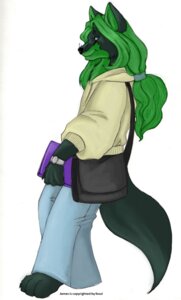 Rating: Safe Score: 0 Tags: 2010 alkaline-lady anthro biped blue_bottomwear blue_clothing book bottomwear canid canine clock clothed clothing clothing_cord countershade_face countershade_torso countershading digital_media_(artwork) digital_painting_(artwork) drawstring drawstring_topwear e621 fox full-length_portrait fully_clothed fur green_body green_countershading green_fur green_hair grey_eyes hair holding_book holding_object hoodie james_(fosul) leaning leaning_backward male mammal messenger_bag painting_(artwork) pants ponytail portrait shirt side_view simple_background smile smirk solo standing student tail tan_clothing tan_topwear topwear walking watch whiskers white_background wristwatch User: bunchy7s