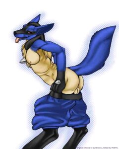 Rating: Explicit Score: 0 Tags: anthro ass balls blue_fur color fur furry lucario male male_only nintendo nipples pokemon pokemon_(species) rule34 side_view solo standing tagme testicles User: bunchy7s Rating: Explicit Score: 0 Tags: anthro ass balls blue_fur color fur furry lucario male male_only nintendo nipples pokemon pokemon_(species) rule34 side_view solo standing tagme testicles User: bunchy7s
