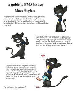 Rating: Safe Score: 0 Tags: black_body black_fur black_hair collar domestic_cat e621 english_text eyewear felid feline felis feral fmakitties fullmetal_alchemist fur glasses hair heart_symbol maes_hughes male mammal photo pink_nose semi-anthro solo tail text toony unknown_artist User: bunchy7s