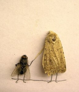 Rating: Safe Score: 0 Tags: ambiguous_gender arthropod duo e621 fly_(animal) grandfathered_content graphite_(artwork) hand_holding housefly insect lepidopteran mixed_media moth photography_(artwork) real size_difference standing traditional_media_(artwork) unknown_artist wings User: bunchy7s Rating: Safe Score: 0 Tags: ambiguous_gender arthropod duo e621 fly_(animal) grandfathered_content graphite_(artwork) hand_holding housefly insect lepidopteran mixed_media moth photography_(artwork) real size_difference standing traditional_media_(artwork) unknown_artist wings User: bunchy7s