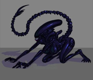 Rating: Explicit Score: 0 Tags: 1girls 2d alien_(franchise) borisalien breasts exoskeleton female female_only female_xenomorph hanging_breasts nipples no_humans rule34 solo solo_female tagme theboris xenomorph xenomorph_tail User: bunchy7s Rating: Explicit Score: 0 Tags: 1girls 2d alien_(franchise) borisalien breasts exoskeleton female female_only female_xenomorph hanging_breasts nipples no_humans rule34 solo solo_female tagme theboris xenomorph xenomorph_tail User: bunchy7s