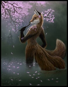 Rating: Safe Score: 0 Tags: 2010 3_tails anthro arms_bent biped black_border border branch canid canine casual_nudity cherry_blossom detailed detailed_background e621 female flower fox fur glance japan legs_in_water looking_at_viewer looking_back mammal multi_tail nature nude outside partially_submerged plant prunus_(flower) rear_view solo standing standing_in_water submerged_legs submerged_tail tail tail_in_water tina_leyk water wet wet_body wet_fur User: bunchy7s Rating: Safe Score: 0 Tags: 2010 3_tails anthro arms_bent biped black_border border branch canid canine casual_nudity cherry_blossom detailed detailed_background e621 female flower fox fur glance japan legs_in_water looking_at_viewer looking_back mammal multi_tail nature nude outside partially_submerged plant prunus_(flower) rear_view solo standing standing_in_water submerged_legs submerged_tail tail tail_in_water tina_leyk water wet wet_body wet_fur User: bunchy7s