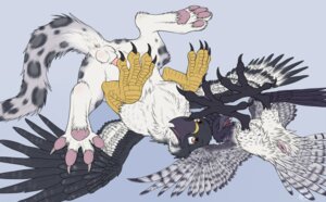 Rating: Explicit Score: 0 Tags: 2011 4_toes accipitrid accipitriform animal_genitalia anisodactyl anus augur_buzzard auspex avian avian_feet balls beak bird buteo catwolf duo e621 eagle erection feathered_wings feathers feet felid feral genitals gryphon harpy_eagle hindpaw leopard lying male male/male mammal mythological_avian mythological_creature mythology noxy_(avian) on_back pantherine paws penis sheath snow_leopard spread_legs spreading tail talons toes wings User: bunchy7s