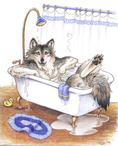 Rating: Safe Score: 0 Tags: 2002 ambiguous_gender anthro bath bathing bathtub biped canid canine canis claw_foot_bathtub digitigrade e621 inside looking_at_viewer lying mammal megan_giles nude pawpads relaxing rubber_duck shower solo tail water wet wolf User: bunchy7s Rating: Safe Score: 0 Tags: 2002 ambiguous_gender anthro bath bathing bathtub biped canid canine canis claw_foot_bathtub digitigrade e621 inside looking_at_viewer lying mammal megan_giles nude pawpads relaxing rubber_duck shower solo tail water wet wolf User: bunchy7s