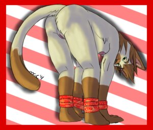 Rating: Explicit Score: 0 Tags: anthro arms_tied bent_over bound breasts domestic_cat e621 felid feline felis female genitals green_eyes hogtied legs_tied looking_at_viewer mammal mrchocolate nude ribbons solo submissive submissive_female tail vulva User: bunchy7s Rating: Explicit Score: 0 Tags: anthro arms_tied bent_over bound breasts domestic_cat e621 felid feline felis female genitals green_eyes hogtied legs_tied looking_at_viewer mammal mrchocolate nude ribbons solo submissive submissive_female tail vulva User: bunchy7s