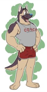Rating: Safe Score: 0 Tags: anthro biceps biped blue_nose bottomwear breath bulge canid canine canis clothed clothing coach domestic_dog e621 german_shepherd green_eyes hands_on_hips herding_dog letterbox male mammal muscular muscular_anthro muscular_male panting pastoral_dog pecs plantigrade pose shirt shorts sofakinggood solo standing tail tank_top tongue tongue_out topwear whiskers whistle_(object) whistle_around_neck User: bunchy7s