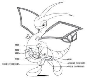 Rating: Explicit Score: 0 Tags: cloaca diphallia diphallism flygon male multi_genitalia multi_penis nintendo penis pokemon pokemon_(species) rule34 tagme User: bunchy7s Rating: Explicit Score: 0 Tags: cloaca diphallia diphallism flygon male multi_genitalia multi_penis nintendo penis pokemon pokemon_(species) rule34 tagme User: bunchy7s