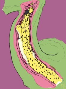 Rating: Explicit Score: 0 Tags: cheetah comic cutaway duo e621 feet_first felid feline feral fur hi_res kibacheetah male mammal markings nayokoventila reptile scalie size_difference snake spots spotted_body spotted_fur vore User: bunchy7s Rating: Explicit Score: 0 Tags: cheetah comic cutaway duo e621 feet_first felid feline feral fur hi_res kibacheetah male mammal markings nayokoventila reptile scalie size_difference snake spots spotted_body spotted_fur vore User: bunchy7s