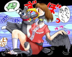Rating: Safe Score: 0 Tags: 2007 4_toes anisodactyl aquatic avian avian_feet beak bird bottomwear claws clothing cormorant domestic_cat duo e621 edmol feathered_wings feathers feet felid feline felis female fish footwear jewelry legwear mammal necklace pants shirt socks species_transformation suliform tail toes topwear transformation wings User: bunchy7s