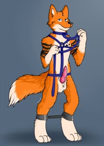 Rating: Explicit Score: 0 Tags: anthro balls bdsm bondage bound canid canine chest_markings e621 erection footprint fox genitals harness jay-lel male mammal markings nude pawprint pawprint_(marking) penis renashe solo User: bunchy7s