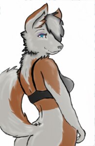 Rating: Questionable Score: 0 Tags: anthro blue_eyes bottomless butt canid canine canis clothed clothing e621 female looking_at_viewer mammal solo tail voshiket wolf User: bunchy7s Rating: Questionable Score: 0 Tags: anthro blue_eyes bottomless butt canid canine canis clothed clothing e621 female looking_at_viewer mammal solo tail voshiket wolf User: bunchy7s