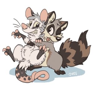 Rating: Safe Score: 0 Tags: 2012 ambiguous_gender american_opossum anthro duo e621 hug mammal marsupial one_eye_closed procyonid raccoon shellyochunks simple_background tail tongue tongue_out white_background User: bunchy7s Rating: Safe Score: 0 Tags: 2012 ambiguous_gender american_opossum anthro duo e621 hug mammal marsupial one_eye_closed procyonid raccoon shellyochunks simple_background tail tongue tongue_out white_background User: bunchy7s