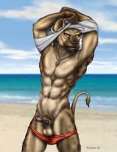 Rating: Explicit Score: 0 Tags: 1boy 2005 5_fingers anthro balls beach brown_fur chest_tuft clouds cowboy_shot day erection front_view fur furry glans grey_shirt humanoid_penis hyena male male_only navel nipples open_mouth open_smile penis pubic_tuft red_speedo rule34 sand seaside solo speedo speedo_down standing tail taking_off_shirt underwear undressing water wooky year yellow_eyes User: bunchy7s